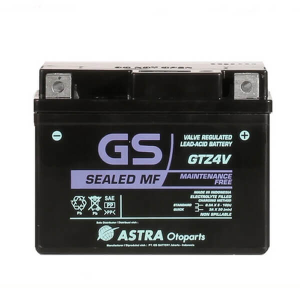 GTZ4V