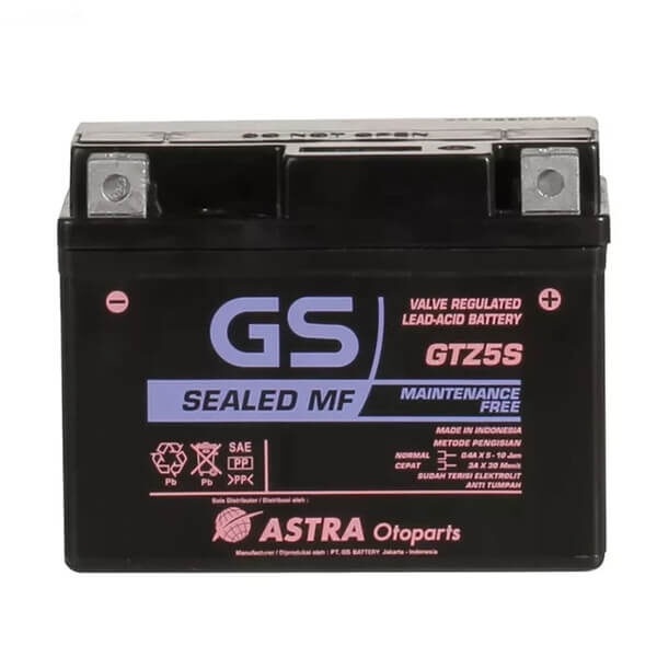 GTZ5S