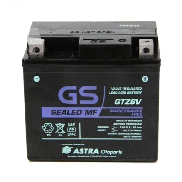 GTZ6V